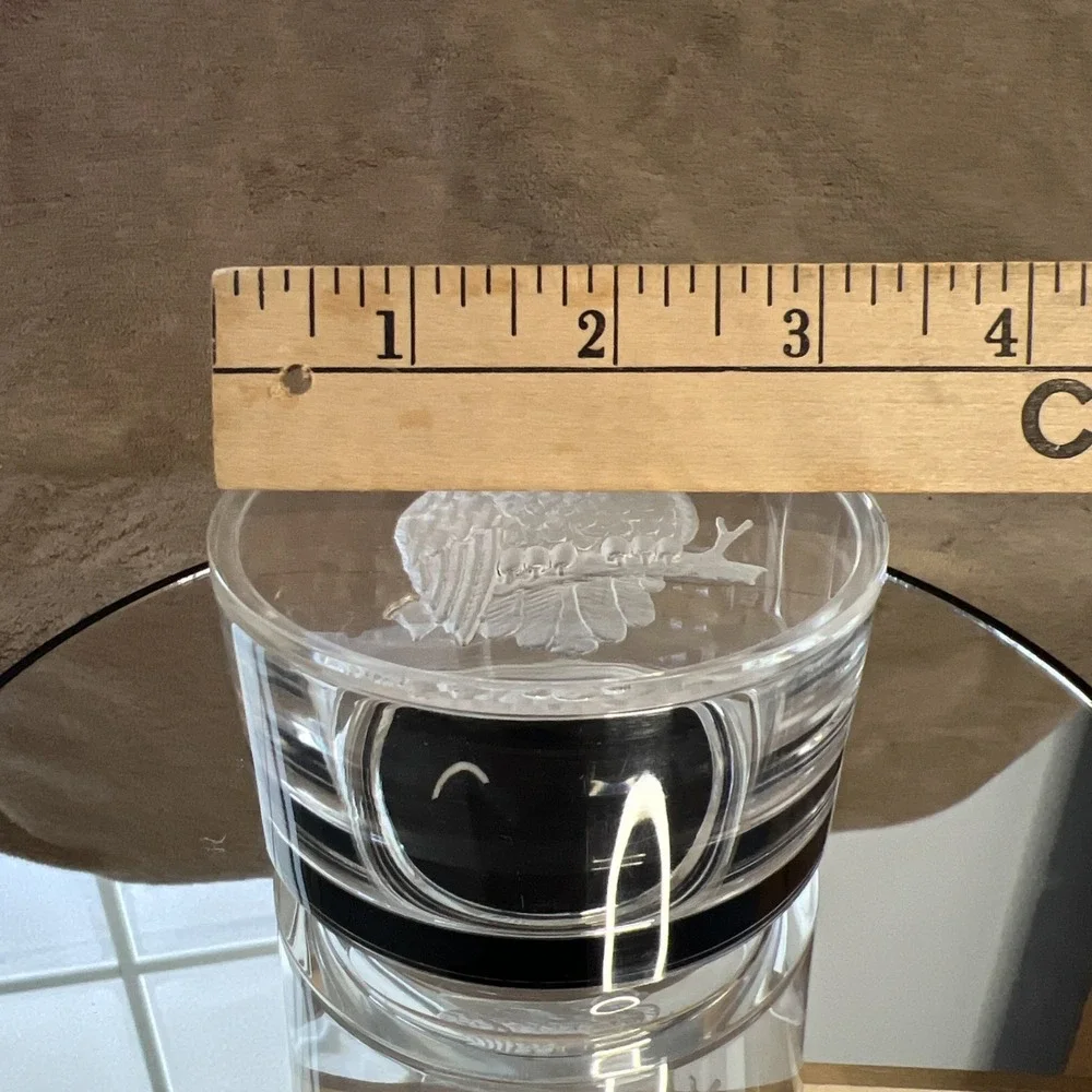 Vintage Clear Acrylic‎ Lidded Trinket Box Etched Owl Felt Bottom